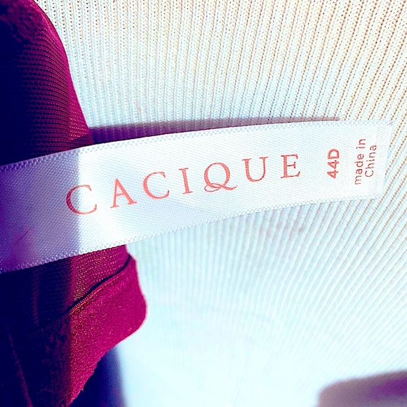 Lane Bryant Bra - Picture 10 of 10